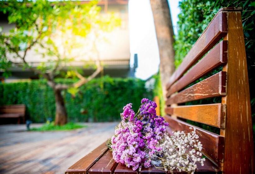 Fotos del hotel Chu:  51