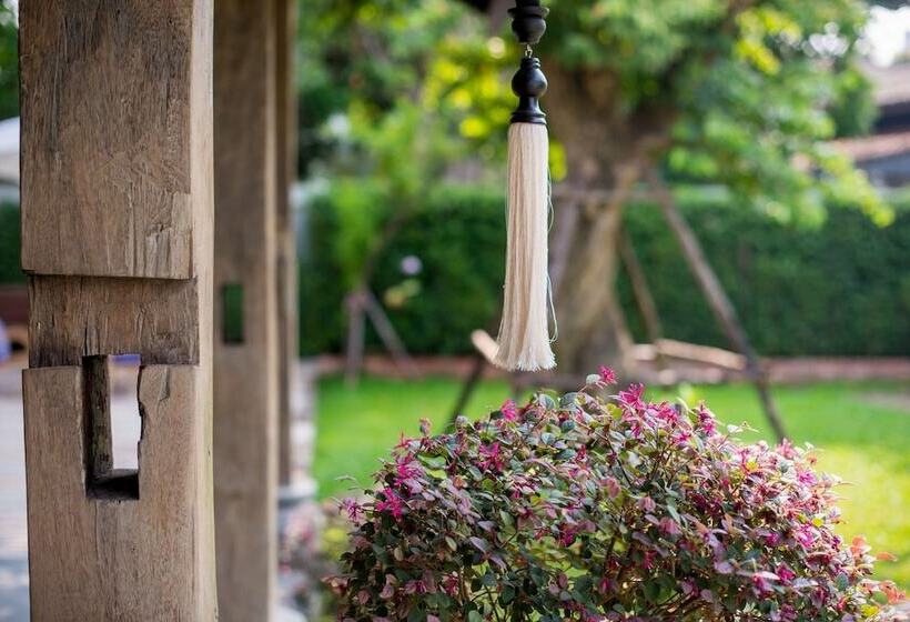 Fotos del hotel Chu:  52