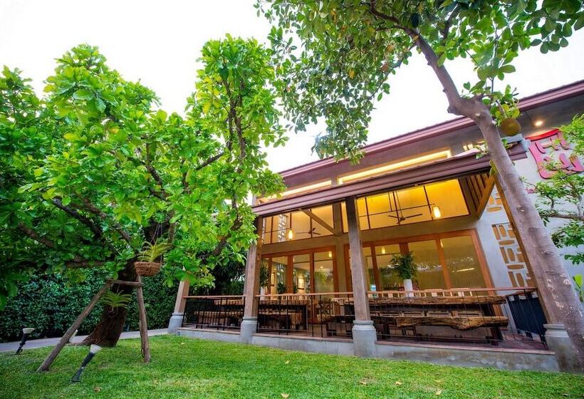 Fotos del hotel Chu:  56