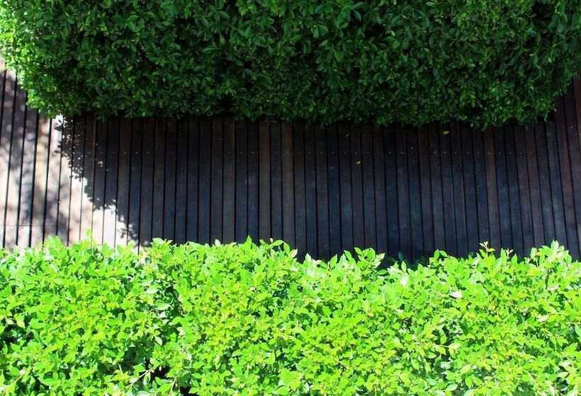 Fotos del hotel Chu:  62