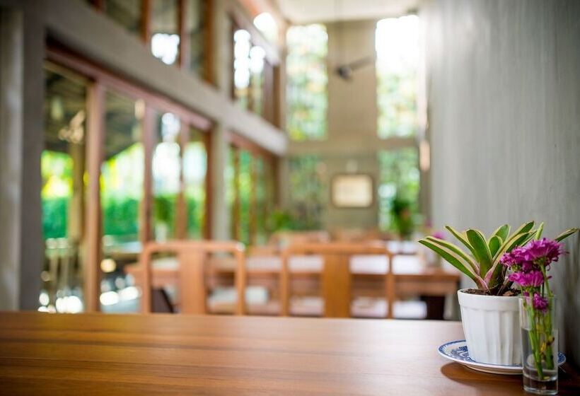 Fotos del hotel Chu:  19