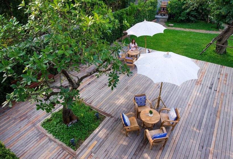 Fotos del hotel Chu:  10