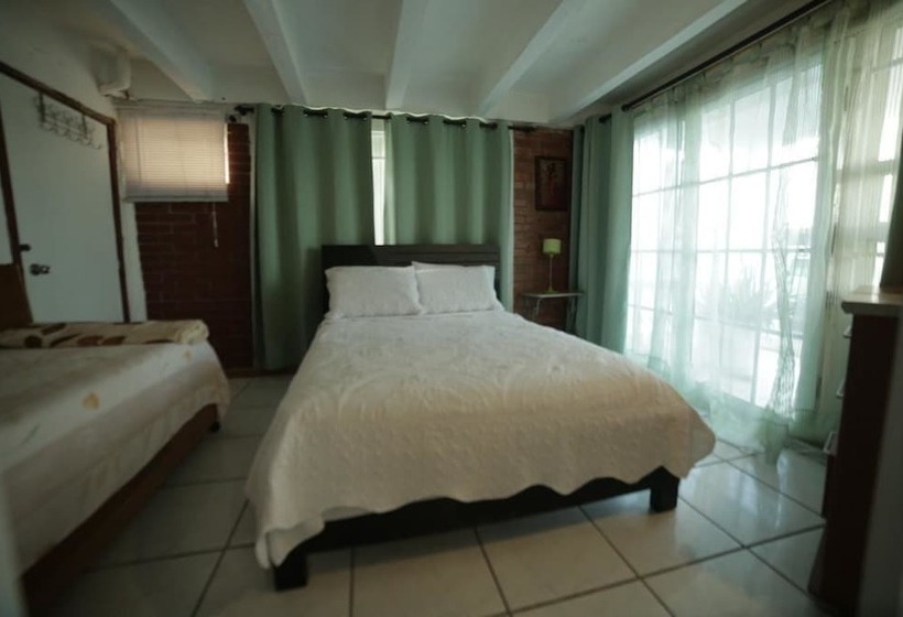 Fotos del hotel Casa Vip:  12