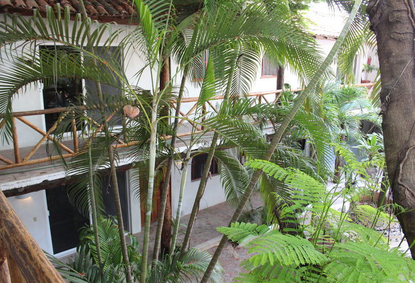 هتل Hostal Mx