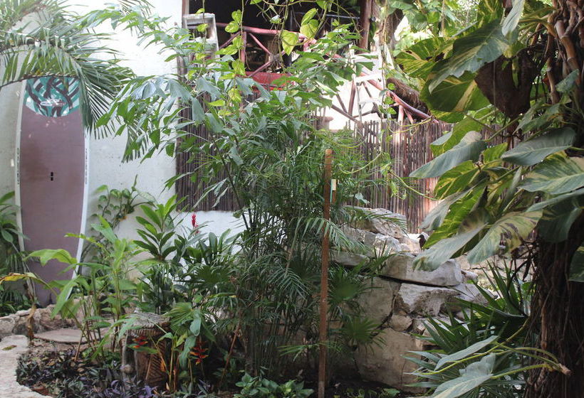 هتل Hostal Mx