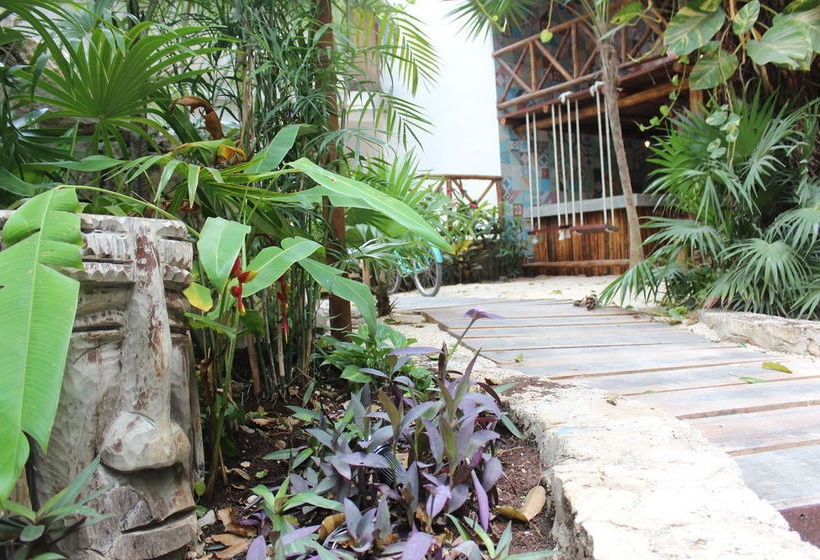 هتل Hostal Mx