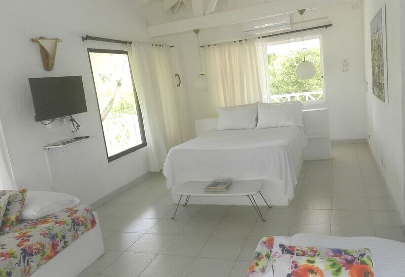 Fotos del hotel Ocean View Sai:  6