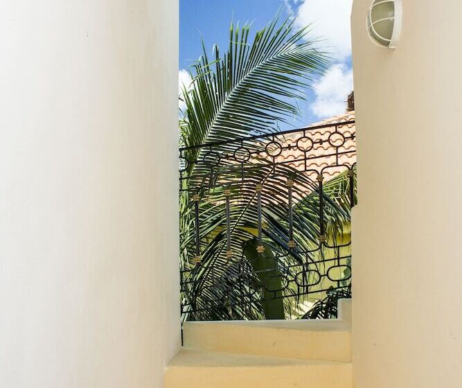 Fotos del hotel Sol Playa:  4