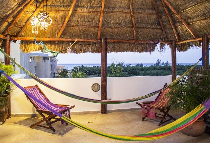 Fotos del hotel Sol Playa:  6