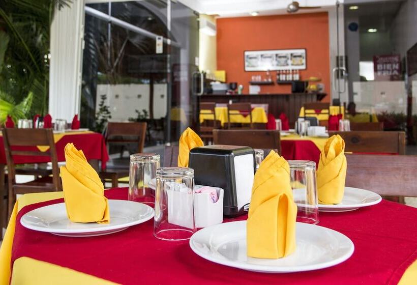 Fotos del hotel Sol Playa:  3