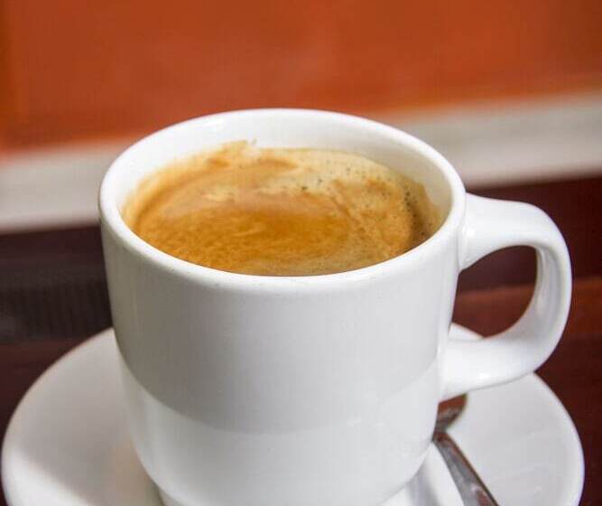 Fotos del hotel Sol Playa:  9