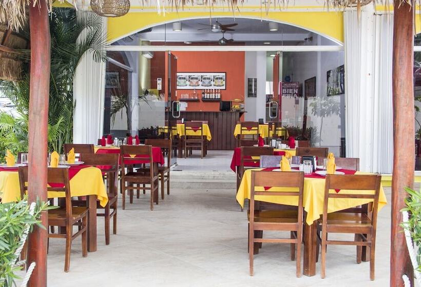 Fotos del hotel Sol Playa:  10