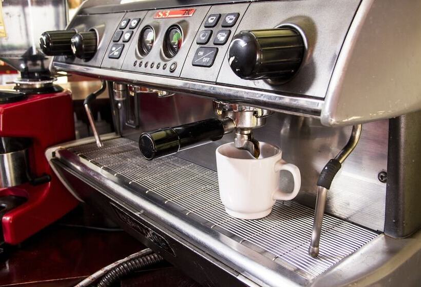 Fotos del hotel Sol Playa:  11