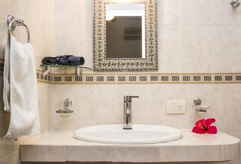 Fotos del hotel Sol Playa:  14