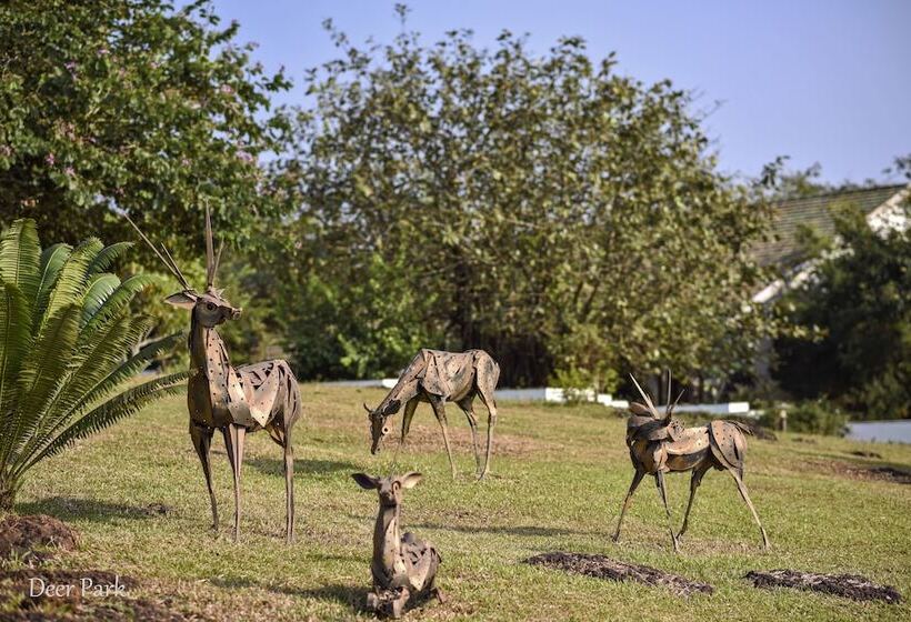 فندق The Fern Samali Resort