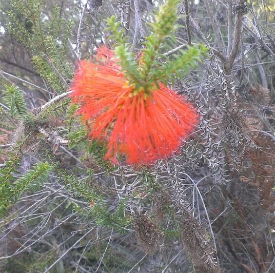 فندق Yelverton Brook Conservation Sanctuary