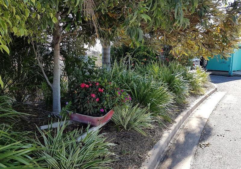 מוטל Reef Adventureland Motor Inn