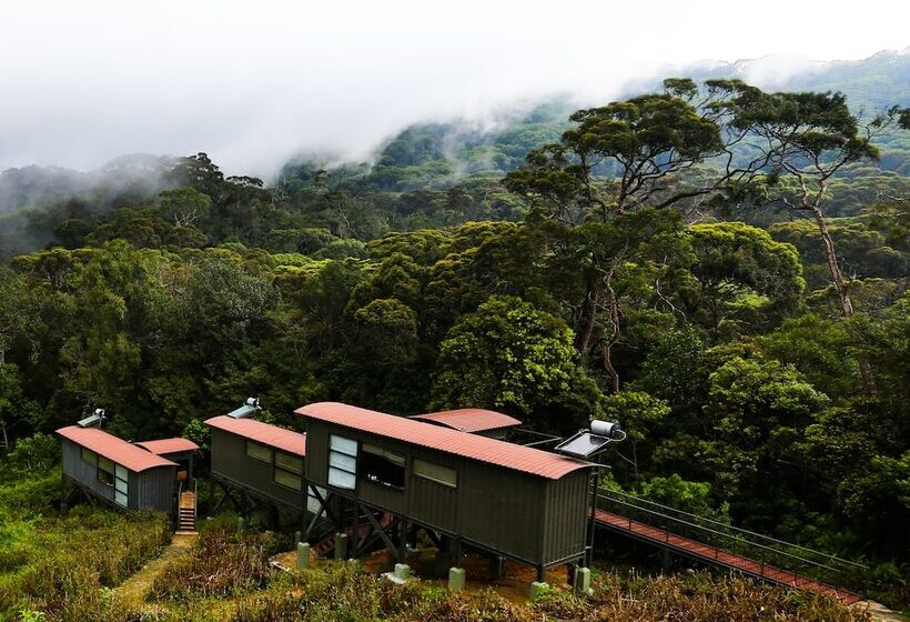 The Rainforest Ecolodge