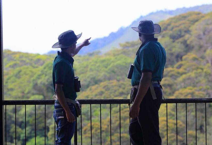 The Rainforest Ecolodge