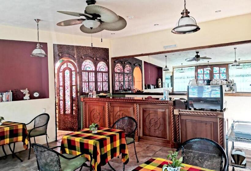 Fotos del hotel Capital O Casa Mallorca:  22