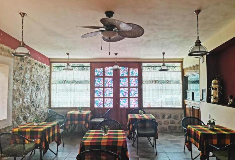 Fotos del hotel Capital O Casa Mallorca:  20