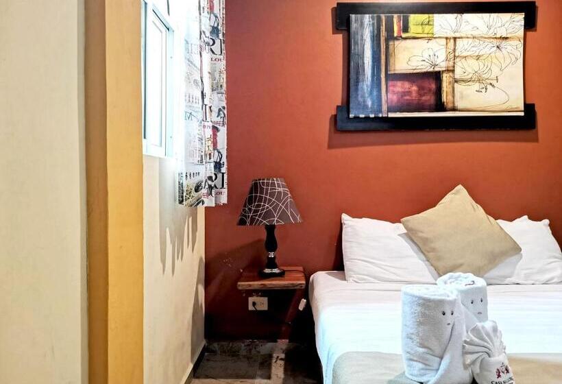 Fotos del hotel Capital O Casa Mallorca:  10