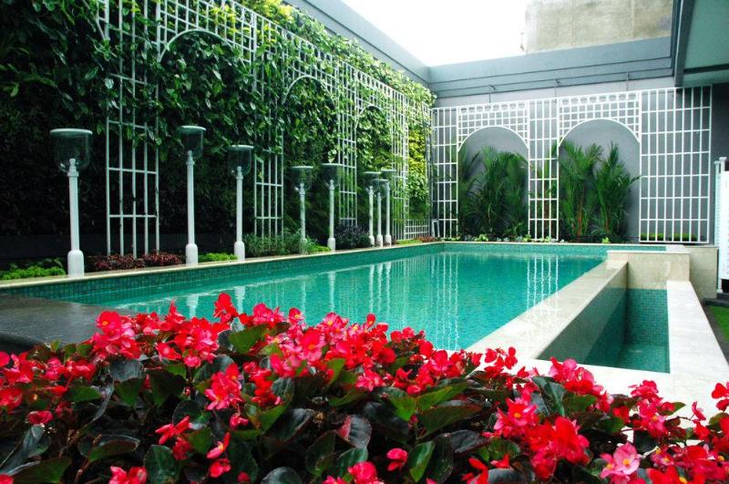 Fotos del hotel Park View:  6