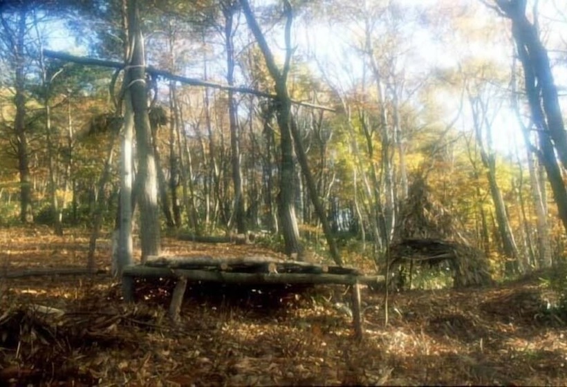 هتل Sugadairakogen Onsen
