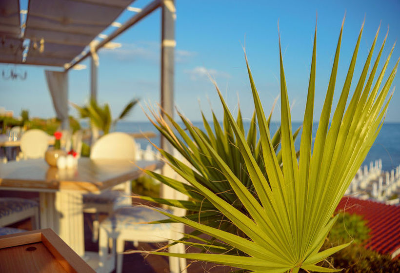 Casa Real Resort