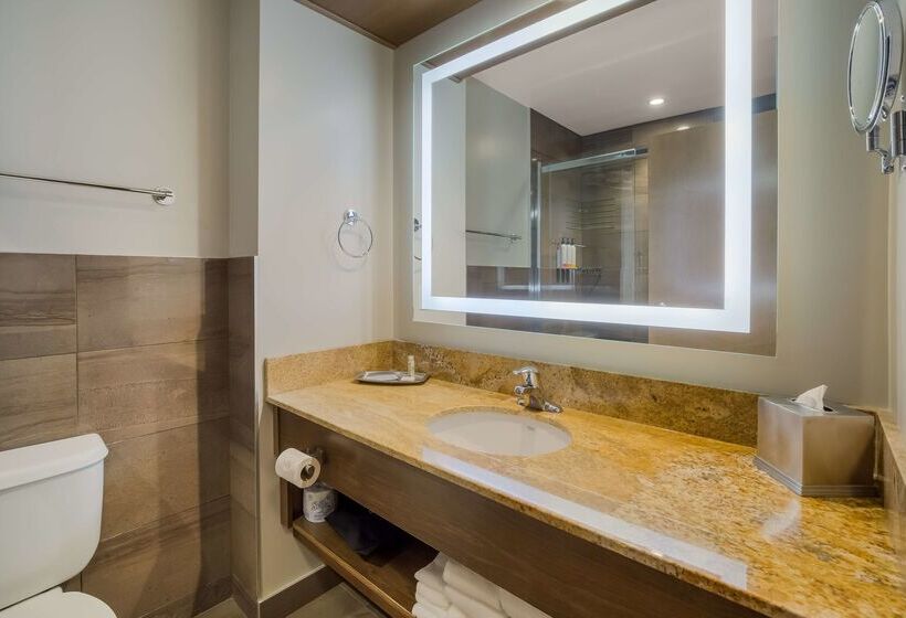 Fotos del hotel Wyndham Garden Calgary Airport:  53