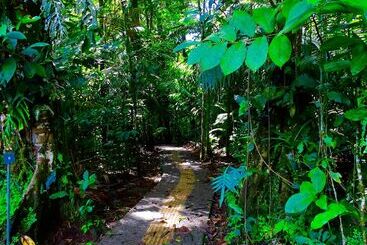 هتل La Selva Biological Station