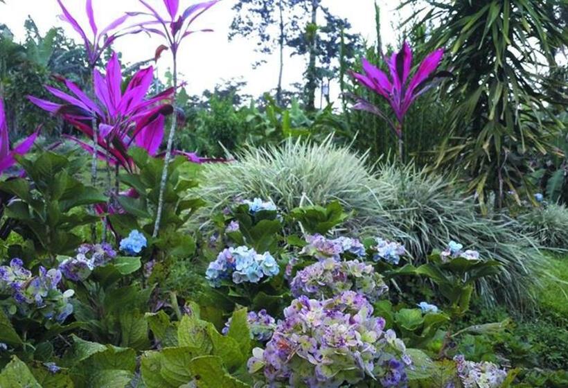 هتل Loma Real Hot Springs Bed & Breakfast