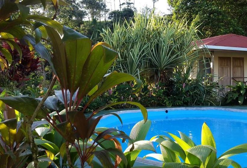 هتل Loma Real Hot Springs Bed & Breakfast