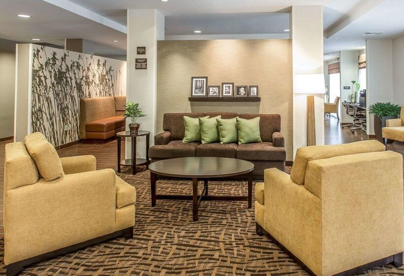 בית מלון כפרי Sleep Inn & Suites Jasper I22