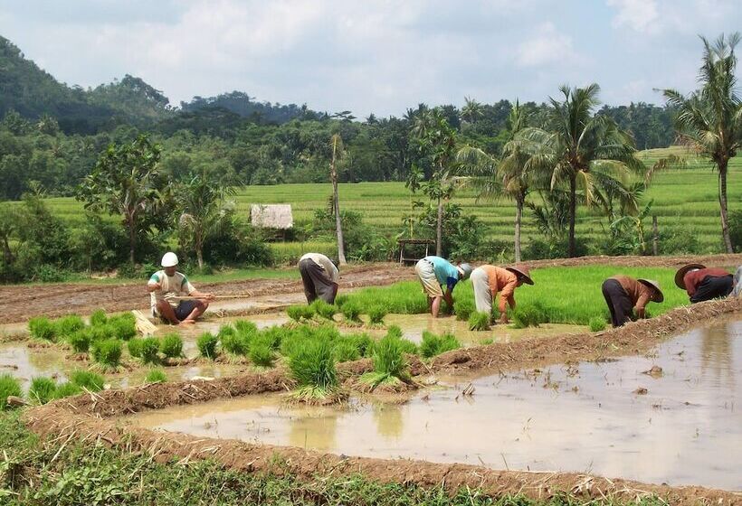 Fotos del hotel Bakung Ubud Resort And Villa:  13
