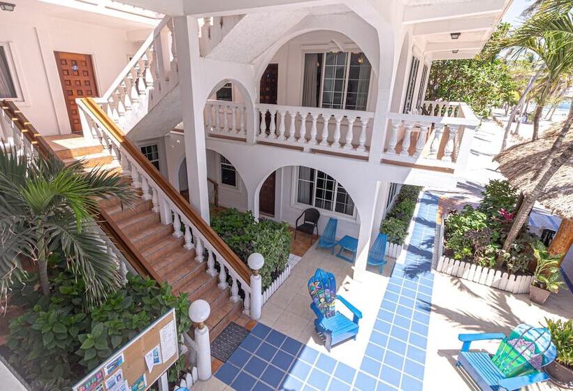 فندق Blue Tang Inn