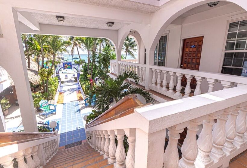فندق Blue Tang Inn