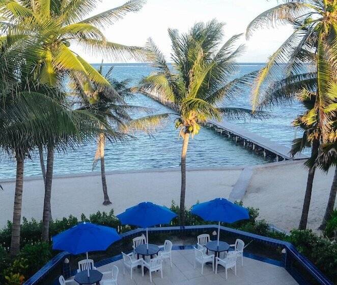 فندق Blue Tang Inn