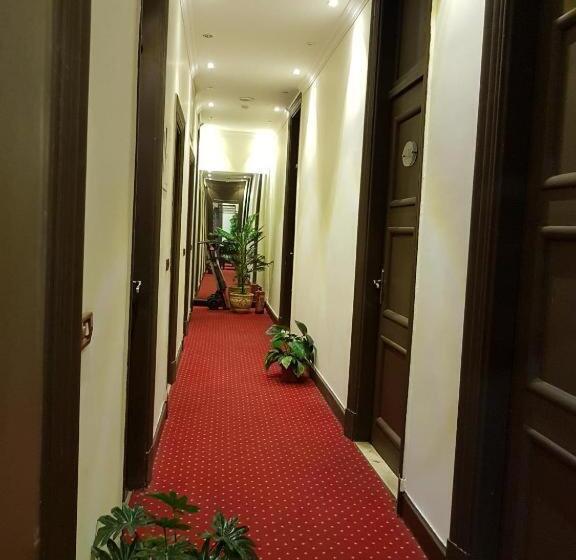 Fotos del hotel Cairo Paradise:  13