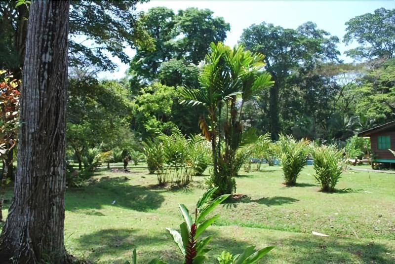 هتل El Pizote Lodge