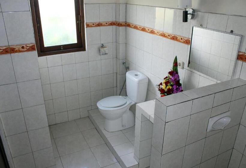 Fotos del hotel Swan Inn:  54