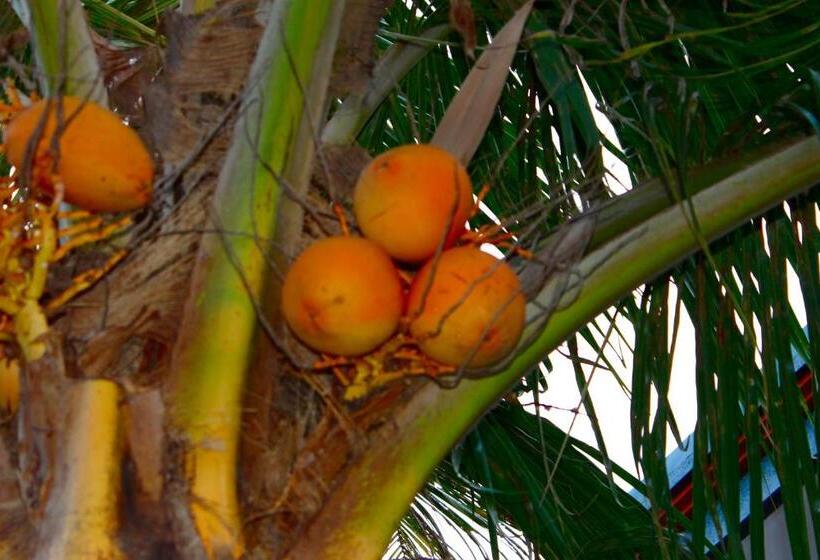 Fotos del hotel Swan Inn:  48