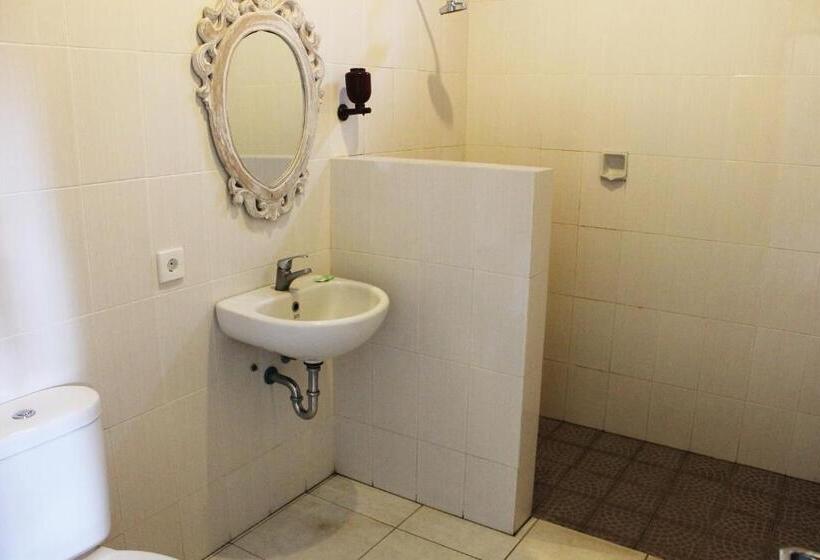 Fotos del hotel Swan Inn:  28