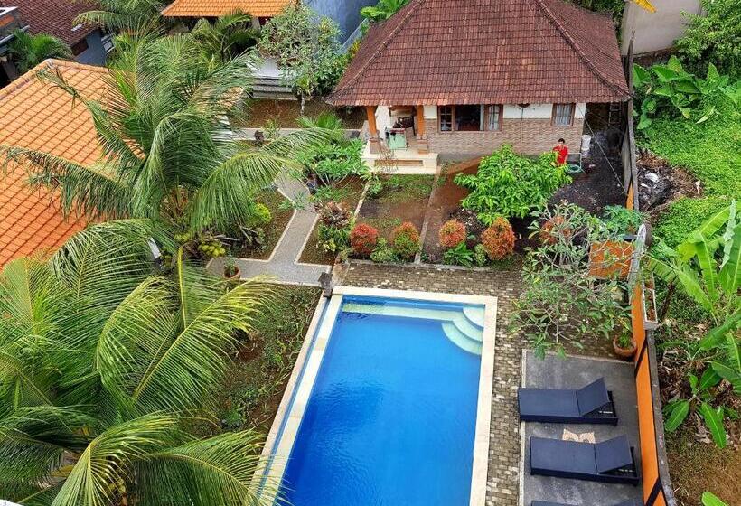 Fotos del hotel Swan Inn:  53