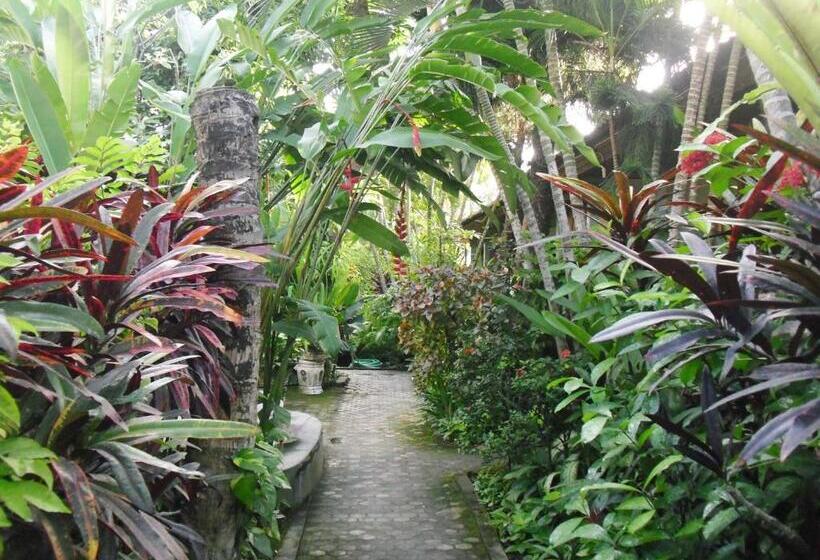 تختخواب و صبحانه Adus Beach Inn