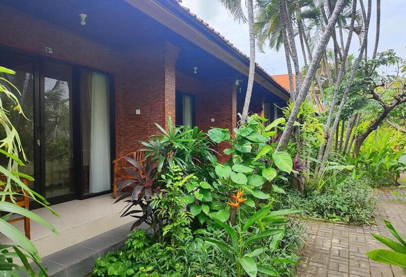 تختخواب و صبحانه Adus Beach Inn