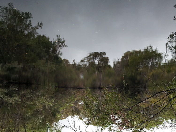 فندق Denmark Forest Retreat