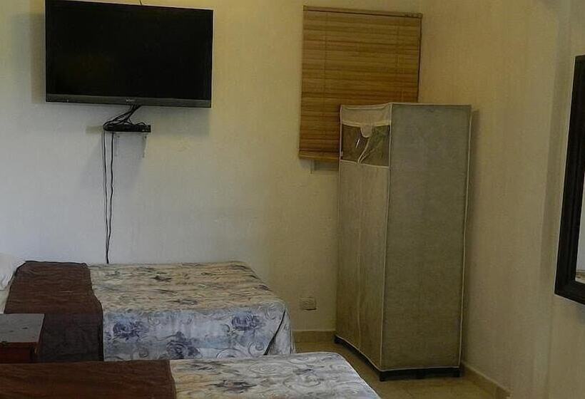 Fotos del hotel Navarro:  4