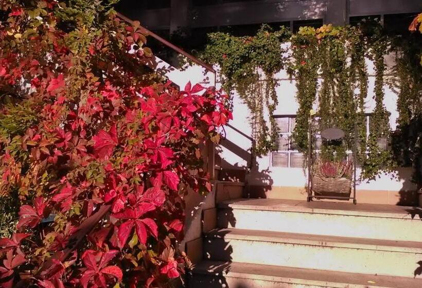 هتل Ristorante Sole