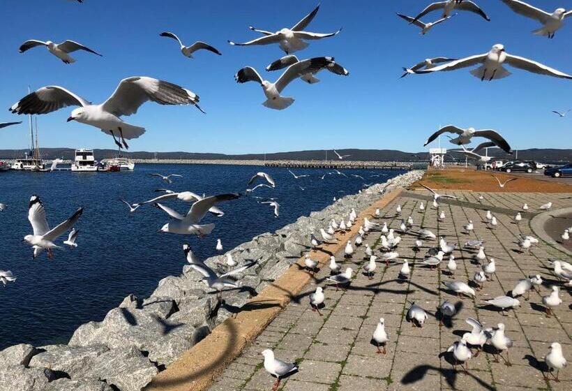 بنسيون Albany Foreshore Guest House